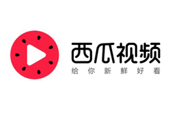 西瓜视频电视版叫什么啊